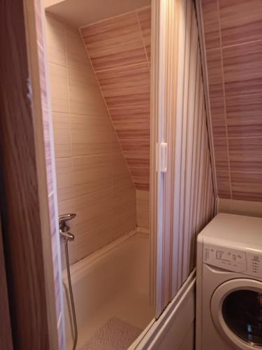 mała łazienka z pralką i zmywarką w obiekcie SKY APARTMENTS w mieście Kumanowo