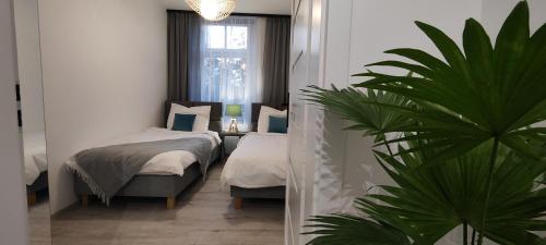 a bedroom with two beds and a potted plant at CITY VIEW Saperów II - przy centrum klimatyzacja in Świdnica
