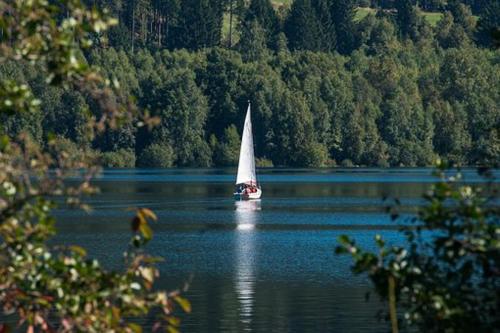 a sail boat on a large lake with trees at Kleine, familienfreundliche 1-Zi FeWo am Bach und zwischen zwei Seen in Fahl
