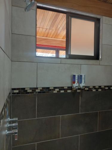 a bathroom with a shower with a window at Alisson Hotel y Restaurant in Monteverde Costa Rica