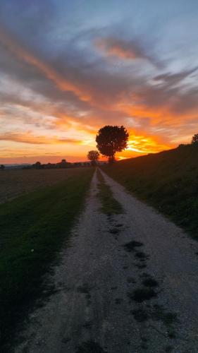 Casa dei Pini – Photos 3