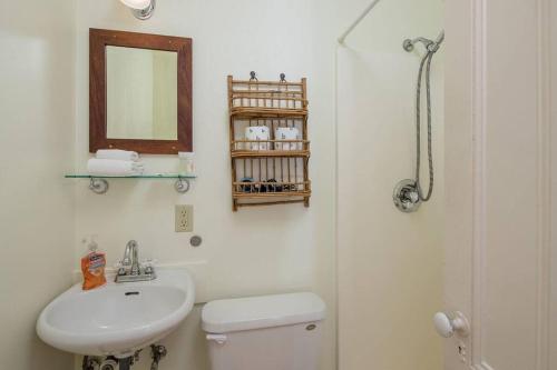 uma casa de banho com um WC, um lavatório e um espelho. em Downtown Loft-Sauna,Bikes,Hot Tub & Great Fun em Arcata