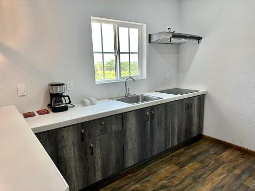 Η κουζίνα ή μικρή κουζίνα στο Hacienda Los Olivos, Valle de Guadalupe