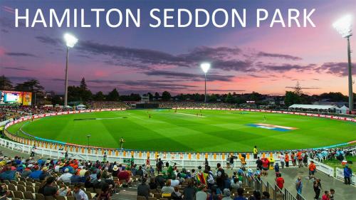 a large crowd of people watching a baseball game at Self Contained En-Suite Private Bathroom, Private Entrance, Close to Shops & Hospital Homestay in Hamilton