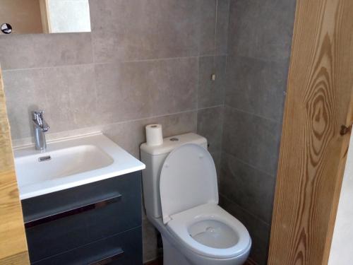une salle de bain avec des toilettes blanches et un lavabo dans l'établissement Spacieux duplex cœur Valloire, 12 pers, proche remontées et commerces - FR-1-263-528, à Valloire