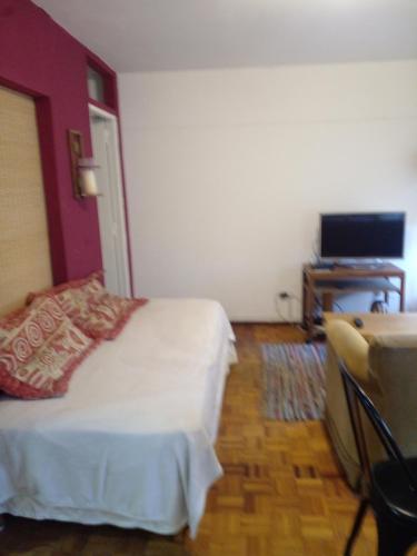 pokój hotelowy z łóżkiem i telewizorem w obiekcie DEPARTAMENTO TEMPORARIO CATAMARCA MENDOZA CENTRO w mieście Mendoza
