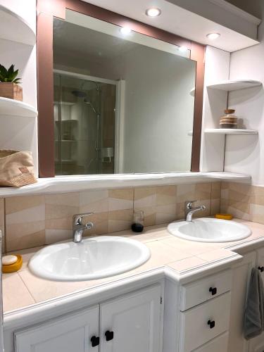 a bathroom with two sinks and a large mirror at L'Escale, appt partagé, shared apartment in Pointe-à-Pitre