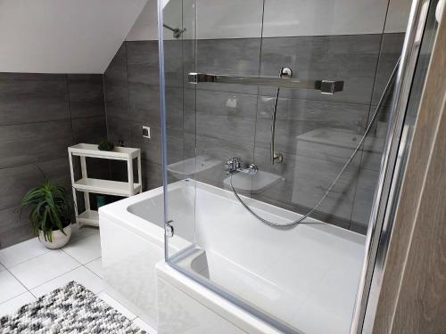 ein Bad mit einer Glasdusche und einer Badewanne in der Unterkunft Apartment with a swimming pool in Stepniczka in Stepnica