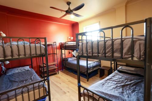Mad Monkey Hostel Coogee Beach Image