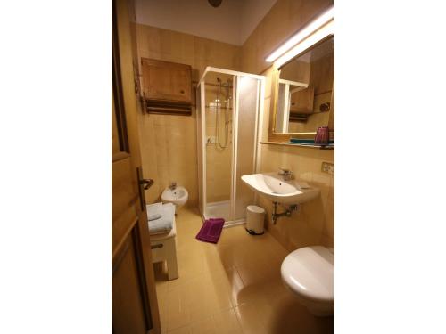 e bagno con lavandino, servizi igienici e doccia. di Cristallo & Faloria Suite Apartments a Cortina dʼAmpezzo