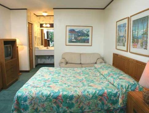 Ένα ή περισσότερα κρεβάτια σε δωμάτιο στο Hotel Perichi's