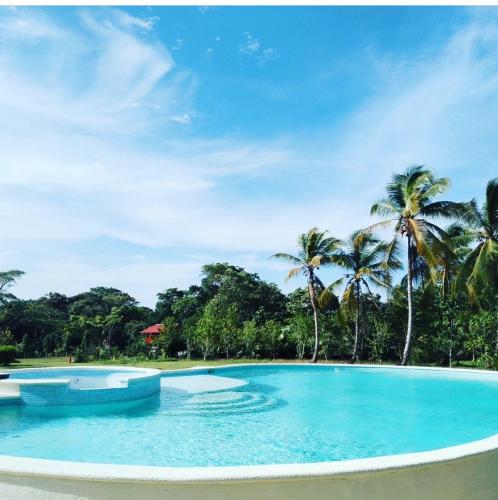 uma grande piscina com palmeiras ao fundo em Finca Agroturistica Villaverde em Nuevo Chagres