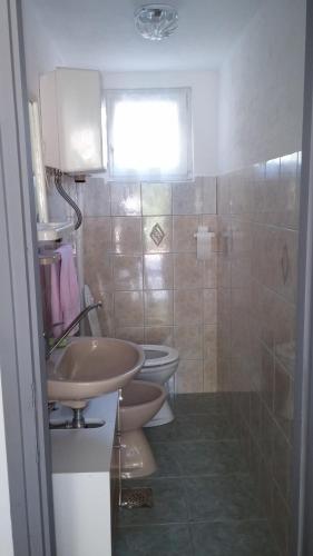 a bathroom with a sink and a toilet at Apartments Vesna in Ribarica