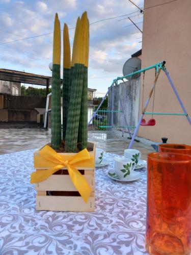 een tafel met een tafelkleed met een doos met cactus bij Casa Vacanze EtnaMolù in Giarre