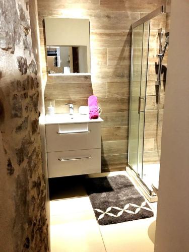 y baño con lavabo y ducha con espejo. en lodge, en Pont-sur-Seine