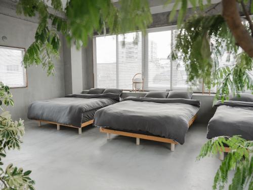 fila de camas en una habitación con ventanas en Bstudio en Wakayama