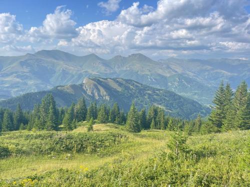 a green hillside with trees and mountains in the background at Villa 80 Kodra e Diellit in Tetovo