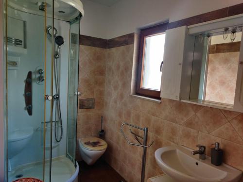 a bathroom with a shower and a sink and a toilet at Rustic house with private Pool in Šišan