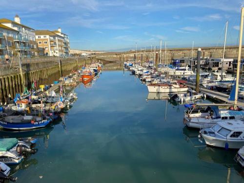 Sea Breeze in Brighton Marina with Free Parking photo 30