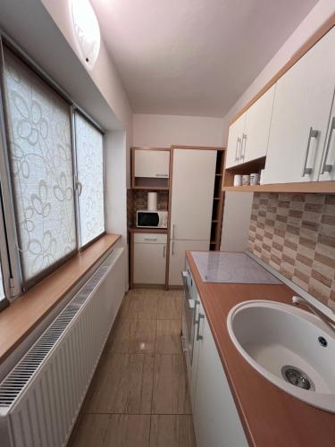 eine kleine Küche mit einem Waschbecken und einem Fenster in der Unterkunft MNM Mitropolie in Iaşi