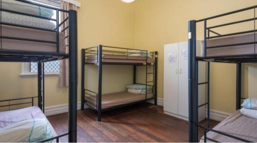 a room with three bunk beds in a room at 1849 Backpackers Albany in Albany