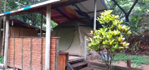 a large tent with a tree in front of it at Hazyview Adventure Backpackers in Hazyview