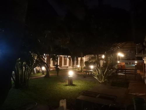 Un jardín fuera de Alfred Place