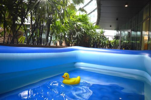 um pato de borracha amarelo numa piscina num edifício em KLCC Skysuites with Private Balcony and Terrace em Kuala Lumpur