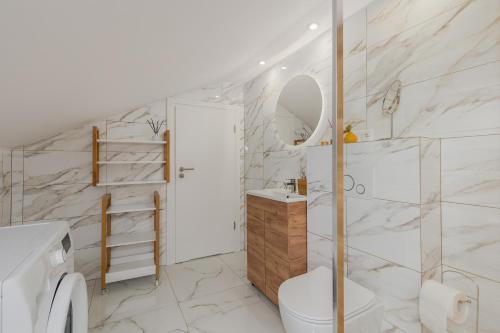 a bathroom with a shower and a toilet and a sink at Dom pod Lipą in Łyczanka