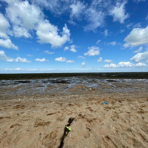 a sandy beach with the ocean in the background at L'OCEAN a Oleron in Le Château-dʼOléron