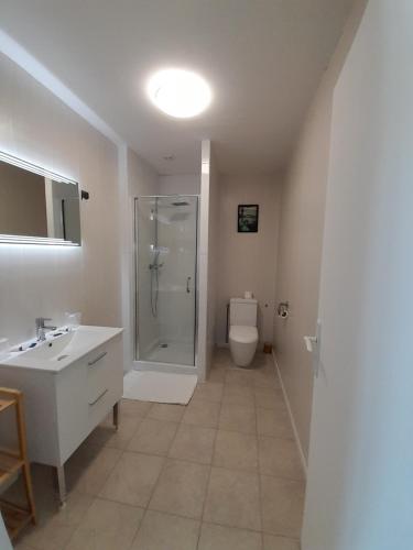 a bathroom with a shower and a sink and a toilet at Hotel De La Gare in Sainte-Gauburge-Sainte-Colombe