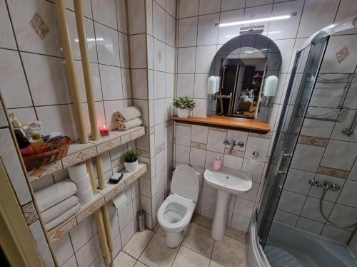 a bathroom with a toilet and a shower and a sink at Wczasy-Leba in Wicko