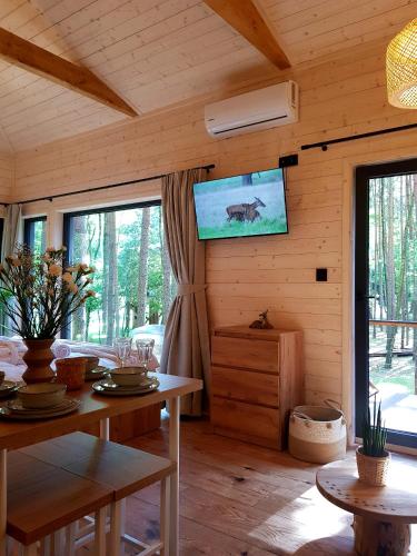Tree Houses Olszankaにあるテレビまたはエンターテインメントセンター
