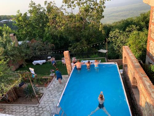 un groupe de personnes jouant dans une piscine dans l'établissement Zandarashvili Guest House, à Sighnaghi