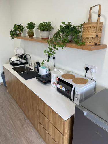a kitchen with a counter top with a microwave at Nature Escape Cottage Cameron in Brinchang