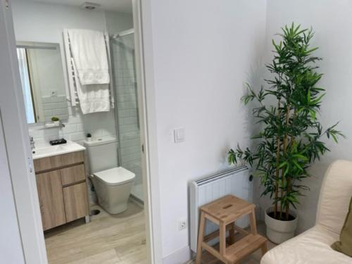 ein Badezimmer mit einem WC und einem Waschbecken sowie ein Badezimmer mit einer Pflanze in der Unterkunft (J3) Apartamento céntrico en Madrid in Madrid
