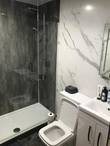 a bathroom with a shower and a toilet and a sink at Prestwick Flat Central Location in Prestwick