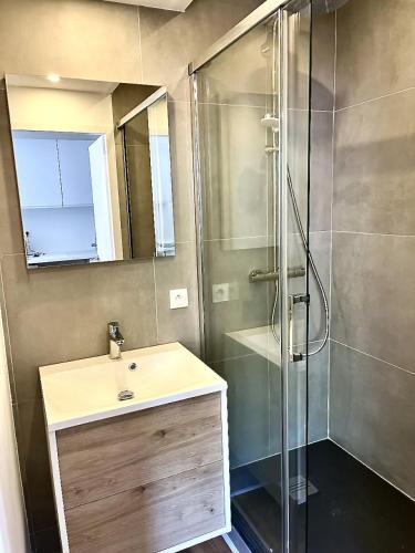 une salle de bain avec un lavabo et une douche dans l'établissement Emma CLIM Proche Hôpital, à La Tronche