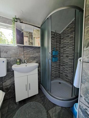 ein Bad mit einer Dusche und einem Waschbecken in der Unterkunft Apartmani DBS in Vir