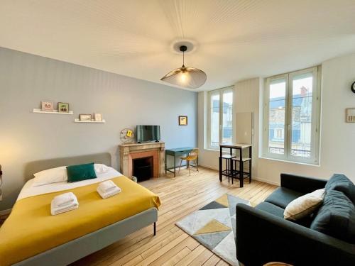 ein Schlafzimmer mit einem Bett und ein Wohnzimmer in der Unterkunft Suite Clovis 5 in Reims