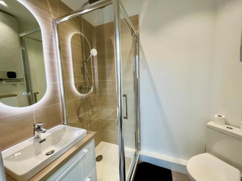 une salle de bain avec douche et lavabo dans l'établissement Suite Clovis 5, à Reims