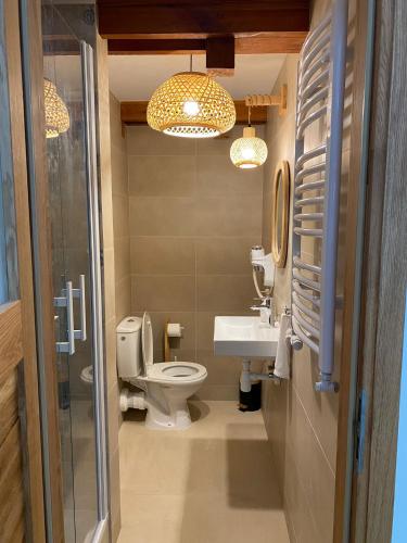 a bathroom with a toilet and a sink at Villa Lulu Piaseczno in Piaseczno