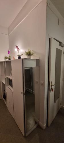 Cette chambre dispose d'un réfrigérateur et d'un comptoir avec des plantes en pot. dans l'établissement Hotel Aboukir, à Paris