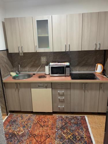 a kitchen with a sink and a microwave on a counter at Apartment DELS in Zenica