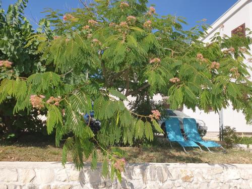 Κήπος έξω από το Apartmani Kunteja