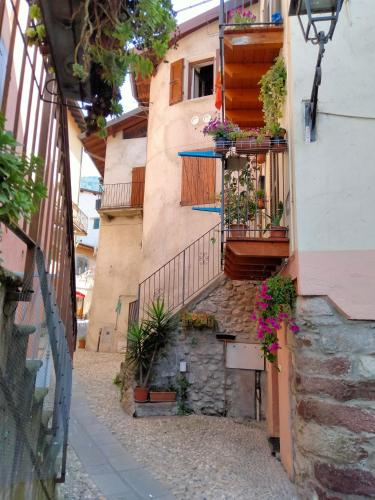 an alley with potted plants on the side of a building at Casa Storta - Cycle Garage CON BICICLETTE in Pisogne