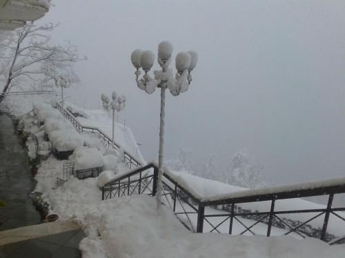 Toshali Royal View ,S H I M L A v zimě