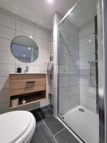 une salle de bain blanche avec douche et toilettes dans l'établissement Le Rio - Studio gare et centre, à Mulhouse