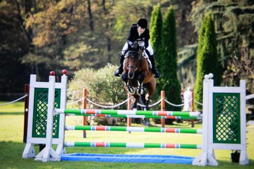 a person riding a horse jumping over an obstacle at Maison Cècile Appartamento in villa. Host Marianna in Agliè