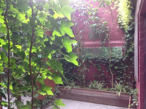 สวนหย่อมนอก Tripel B